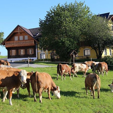 Wiesenbauer - Schlogl Anton Villa Grafendorf bei Hartberg Bagian luar foto