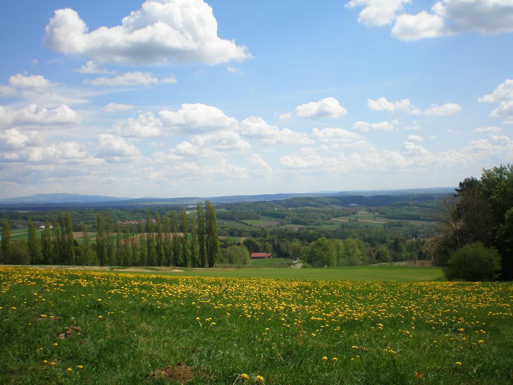 Wiesenbauer - Schlogl Anton Villa Grafendorf bei Hartberg Bagian luar foto