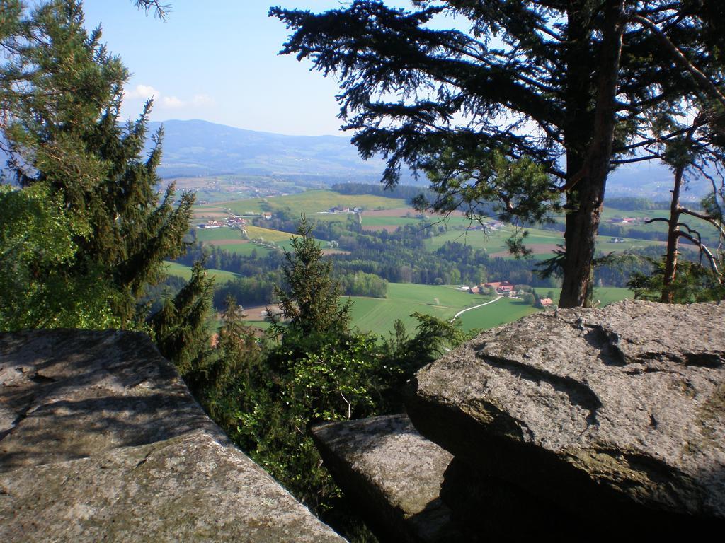 Wiesenbauer - Schlogl Anton Villa Grafendorf bei Hartberg Bagian luar foto
